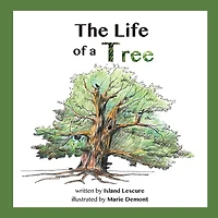 The Life of a Tree