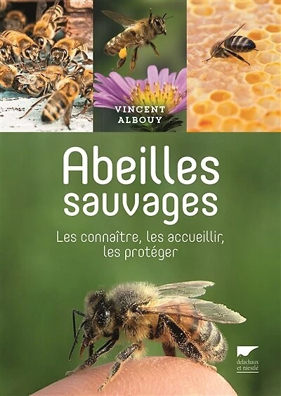 Abeilles sauvages : les connaître, les accueillir, les protéger: les connaître, les accueillir, les protéger