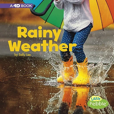 Rainy Weather: A 4D Book