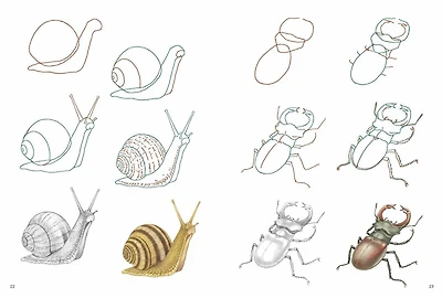 How to Draw: Nature - In simple steps: In simple steps