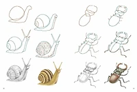How to Draw: Nature - In simple steps: In simple steps
