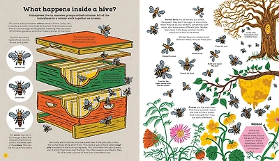 Think Big: Secrets of Bees