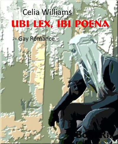 Ubi lex, ibi poena: Gay Fantasy Romance