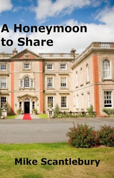 A Honeymoon to Share: Romantic Beginnings, #4