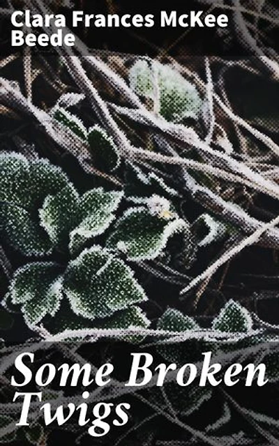 Some Broken Twigs: Exploring the Depths of Human Relationships and Past Traumas in a New England Town