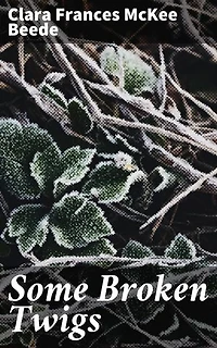 Some Broken Twigs: Exploring the Depths of Human Relationships and Past Traumas in a New England Town