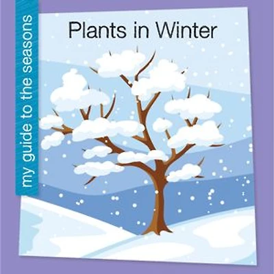 Plants in Winter