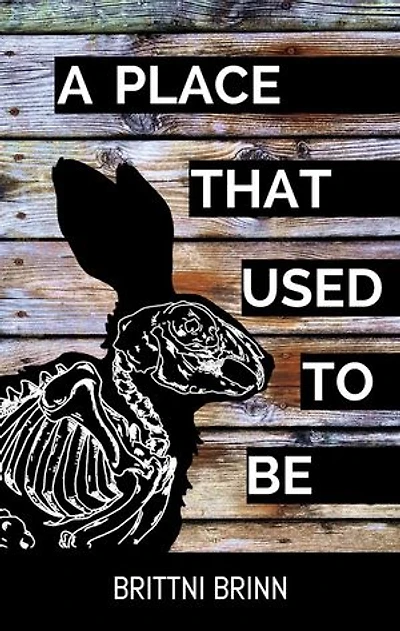 A Place That Used to Be: The Patch Project, #2
