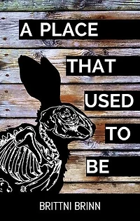 A Place That Used to Be: The Patch Project, #2