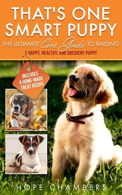 That's One Smart Puppy: From Smart Puppy to Wise Old Dog, #1