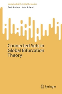Connected Sets Global Bifurcation Theory