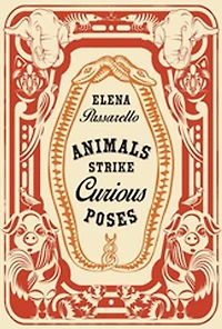 Animals Strike Curious Poses