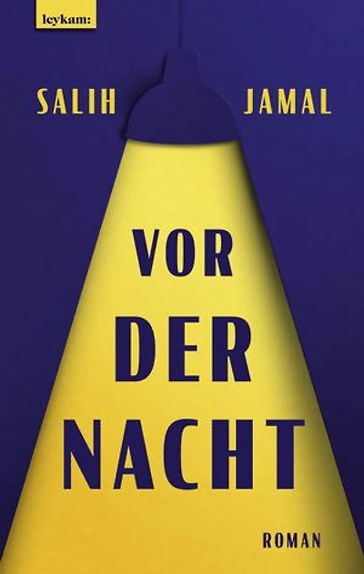 Vor der Nacht: Roman