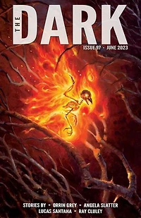 The Dark Issue 97: The Dark, #97
