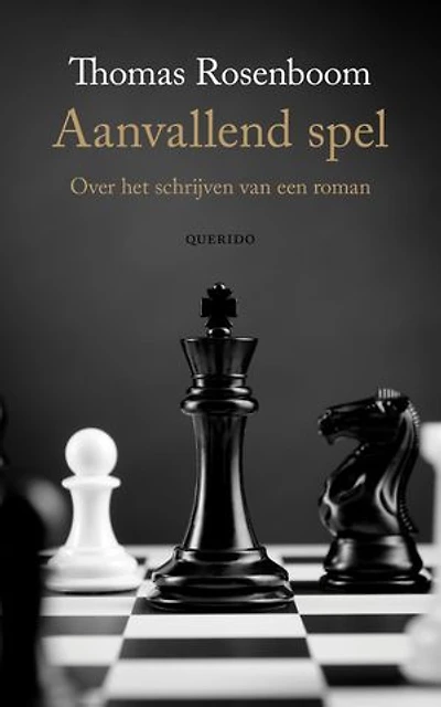 Aanvallend spel: over het schrijven van een roman
