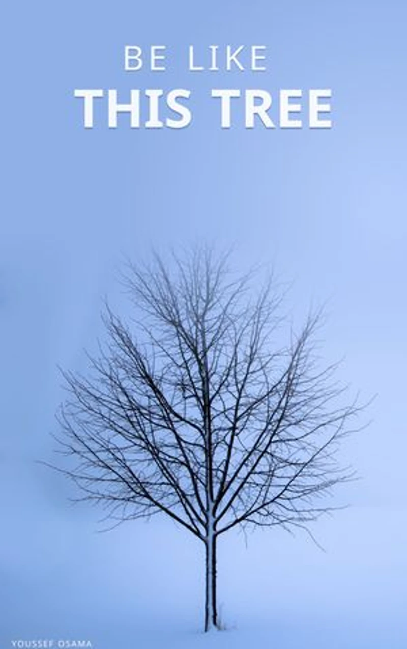 Be Like This Tree