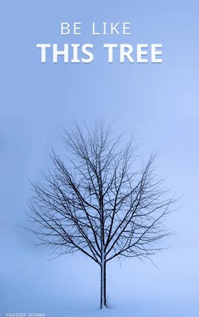 Be Like This Tree