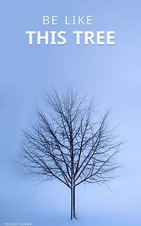 Be Like This Tree