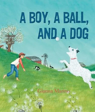a Boy, Ball, and Dog