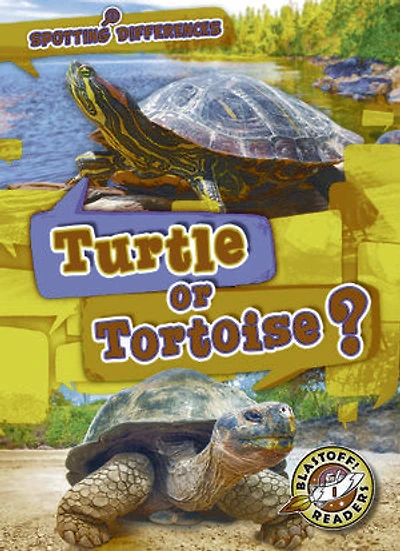 Turtle or Tortoise?