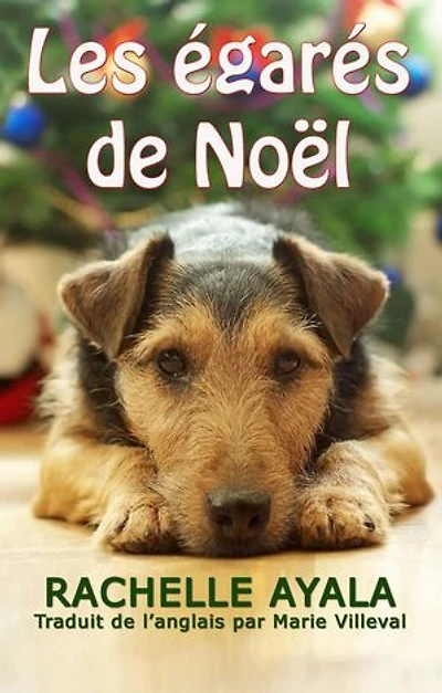 Les égarés de Noël