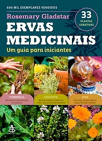 Ervas medicinais: Um guia para iniciantes