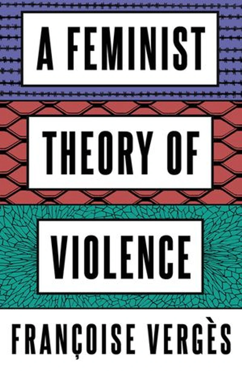 A Feminist Theory of Violence: Decolonial Perspective