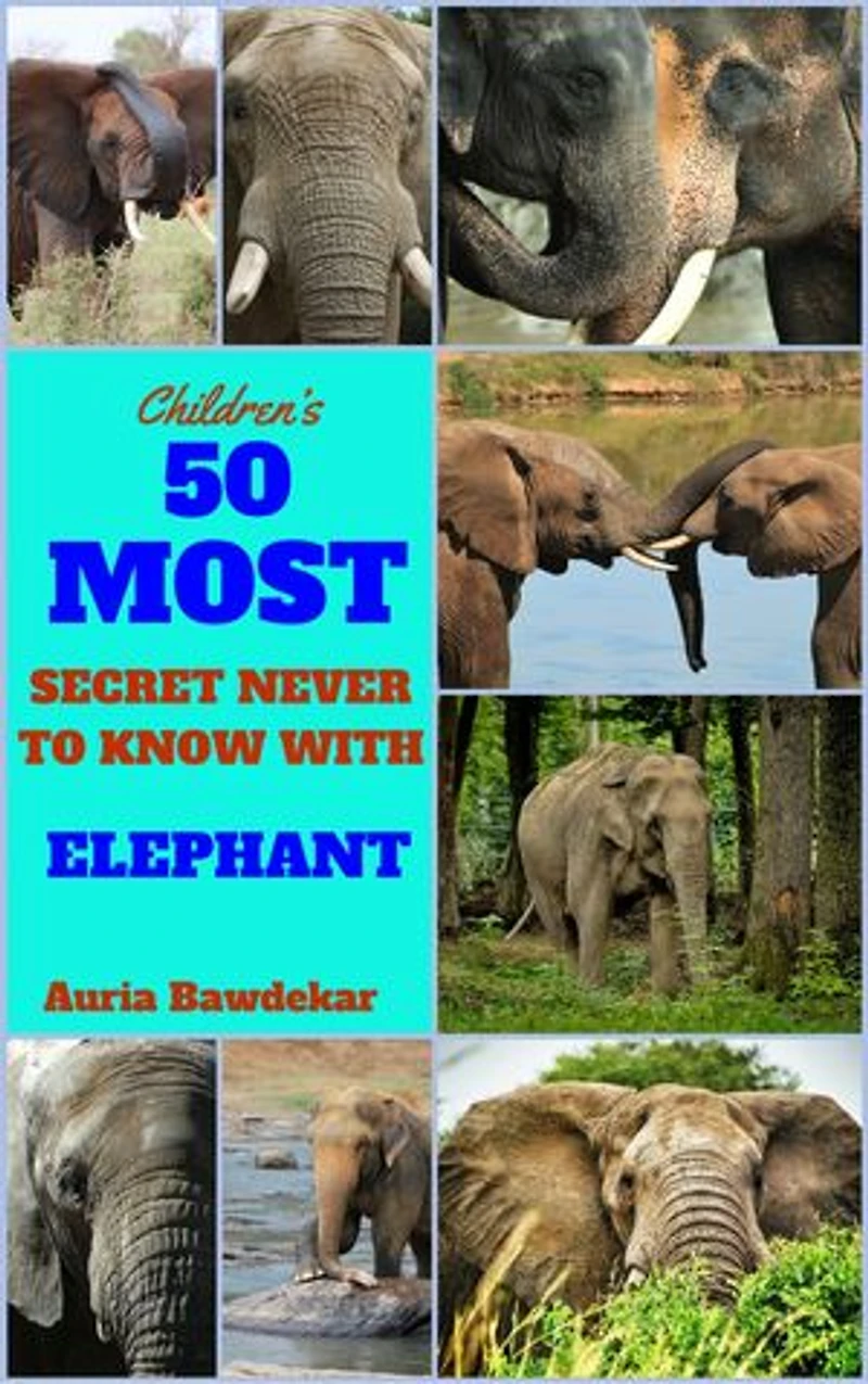 50 Most Secret With Elephant: Elephant 50 Most Secret With Elephant
