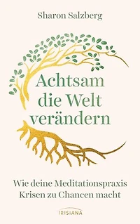 Achtsam die Welt verändern: Wie deine Meditationspraxis Krisen zu Chancen macht