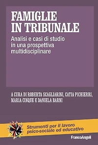 Famiglie in tribunale: Analisi e casi di studio in una prospettiva multidisciplinare