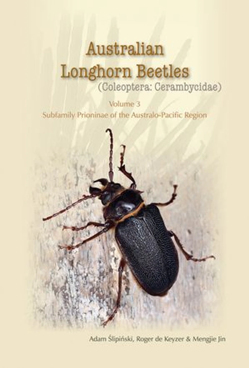 Australian Longhorn Beetles