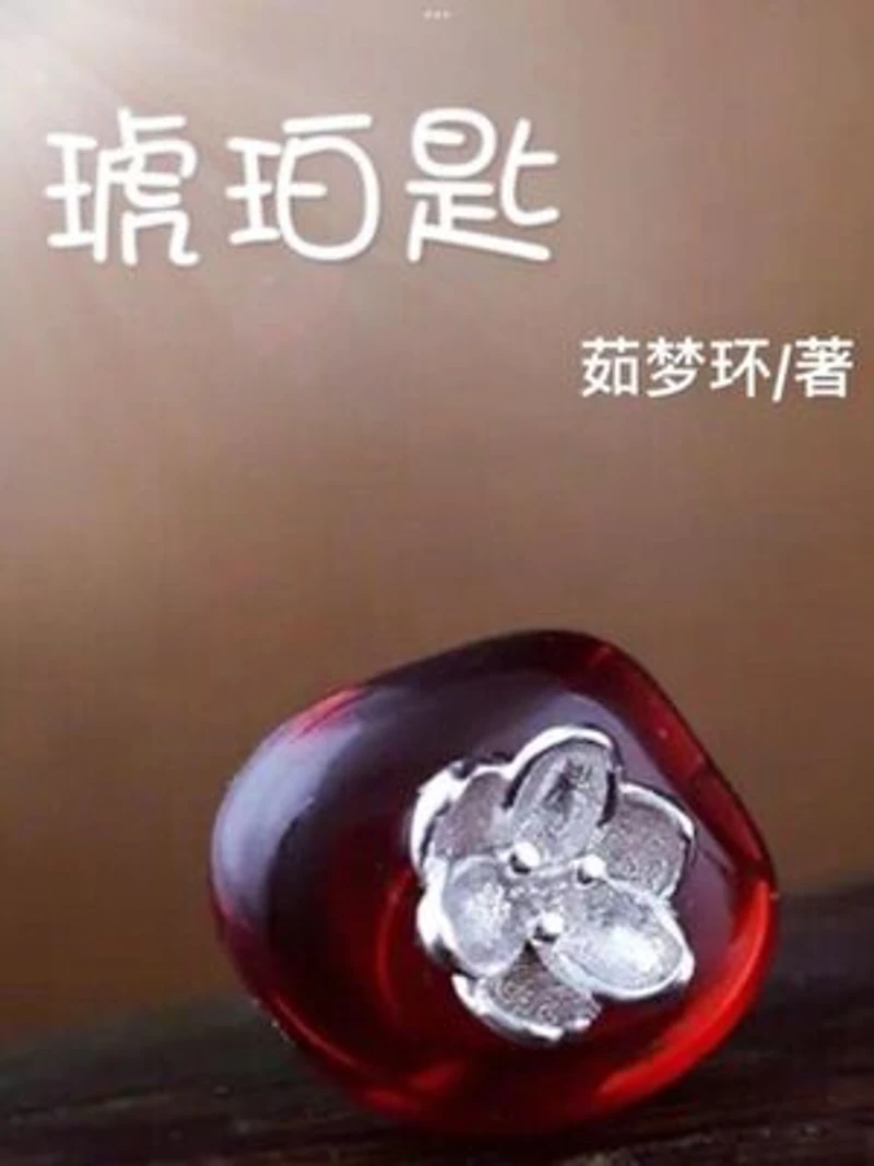 琥珀匙(上下两册,简体字版): A Hidden Past ( A novel in simplified Chinese characters)