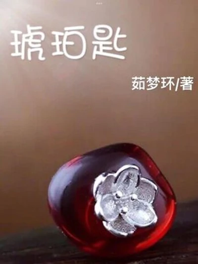 琥珀匙（上下两册，简体字版）: A Hidden Past ( A novel in simplified Chinese characters)