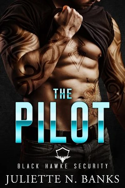 The Pilot: Steamy Military Romance