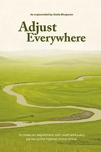 Adjust Everywhere