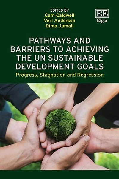 Pathways and Barriers to Achieving the UN Sustainable Development Goals: Progress, Stagnation and Regression