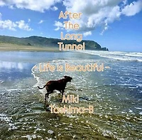 After The Long Tunnel