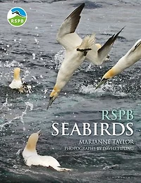 RSPB Seabirds