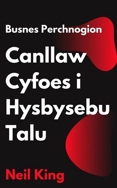 Busnes Perchnogion Canllaw Cyfoes i Hysbysebu Talu: Cyflwyniad Cychwyn Cyflym i Hysbysebion Google, Facebook, Instagram, YouTube, a TikTok