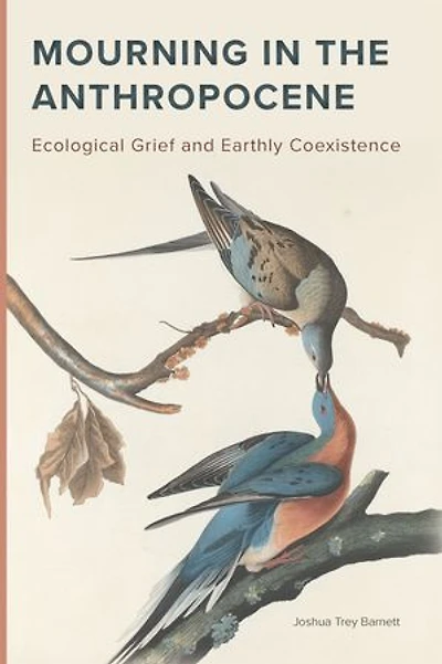 Mourning the Anthropocene: Ecological Grief and Earthly Coexistence