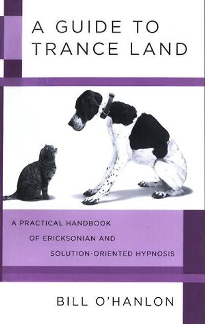A Guide to Trance Land: Practical Handbook Of Ericksonian And Solution Oriented Hypnos