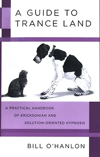 A Guide to Trance Land: Practical Handbook Of Ericksonian And Solution Oriented Hypnos