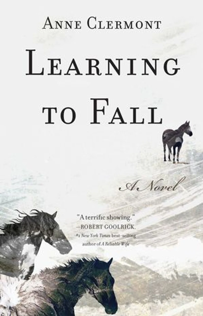 Learning to Fall: A Novel