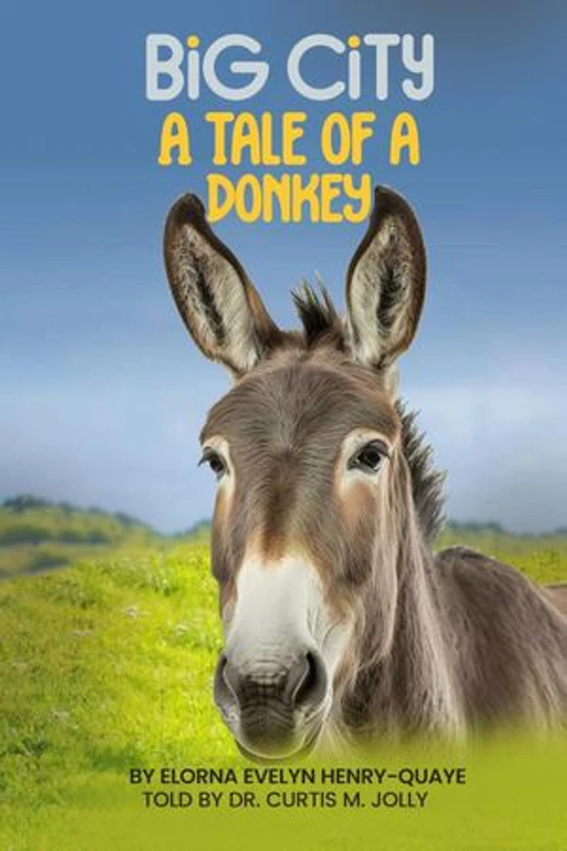 BIG CITY: A Tale of a Donkey: A Tale of a Donkey