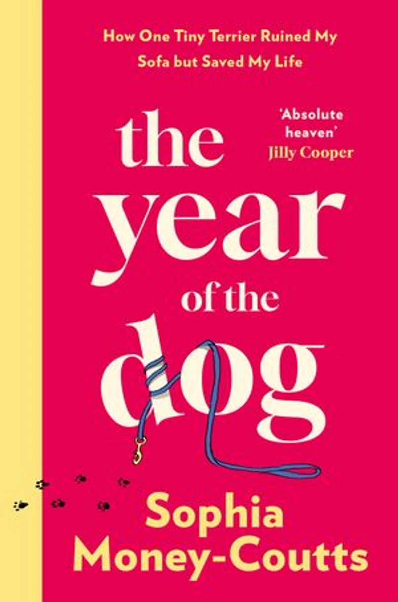 the Year of Dog: How One Tiny Terrier Ruined My Sofa but Saved Life