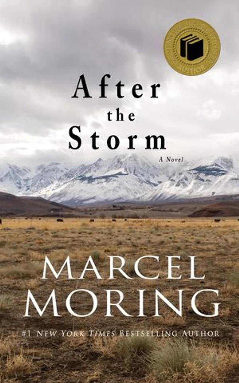 After the Storm: A Novel