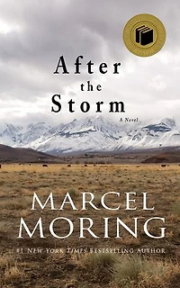 After the Storm: A Novel