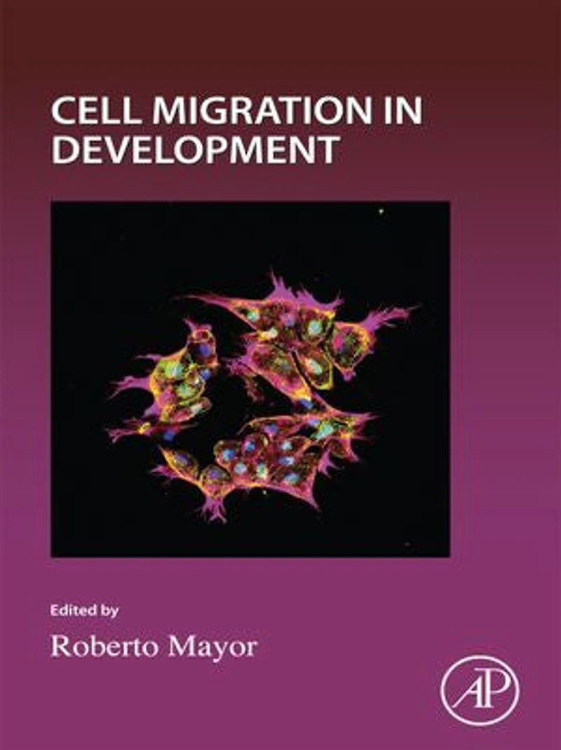 Cell Migration Development