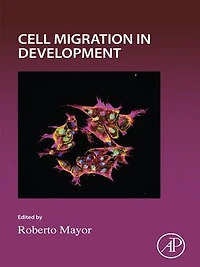 Cell Migration Development