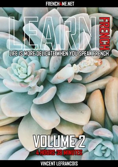 Life is more delicate when you speak French (4 hours 38 minutes) - Vol 2
